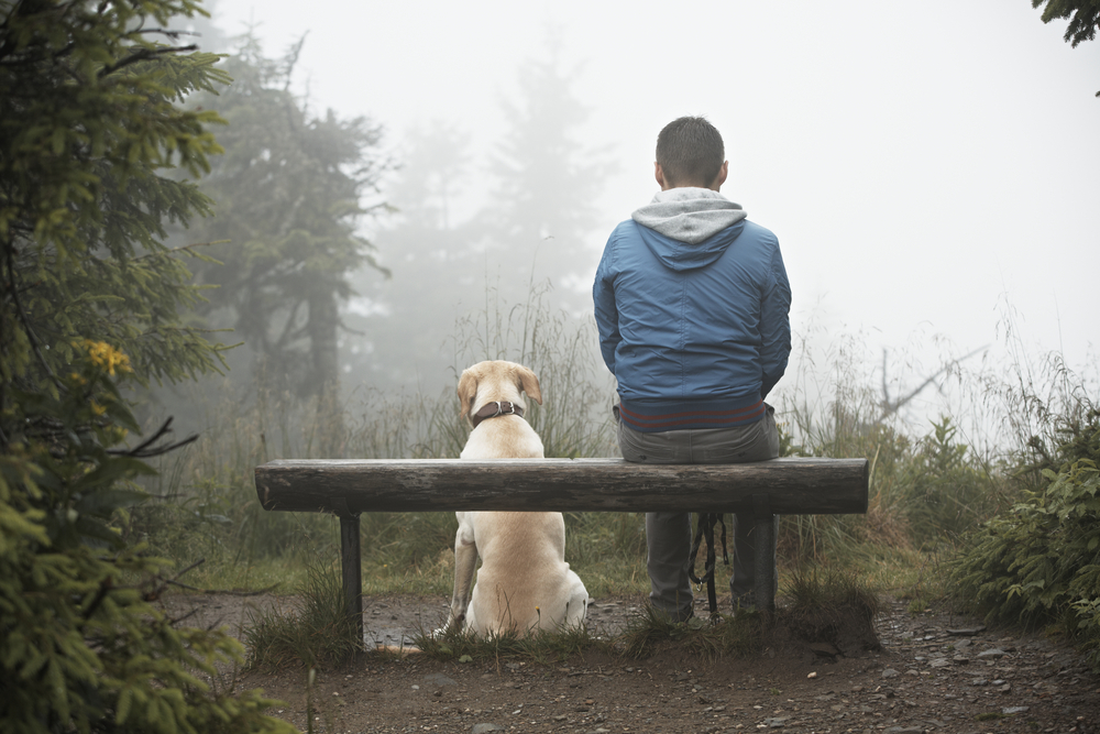 Man and Man's Best Friend Sit Watchfully